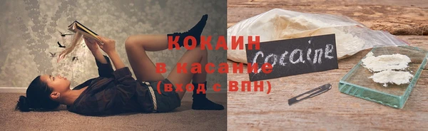 ПСИЛОЦИБИНОВЫЕ ГРИБЫ Алексеевка