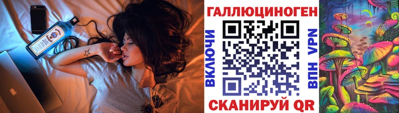 Псилоцибиновые грибы Psilocybine cubensis  Борзя 