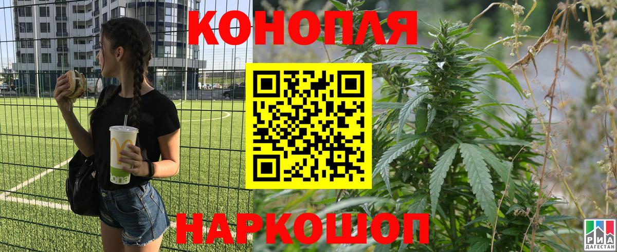Бошки Шишки ГИДРОПОН Борзя